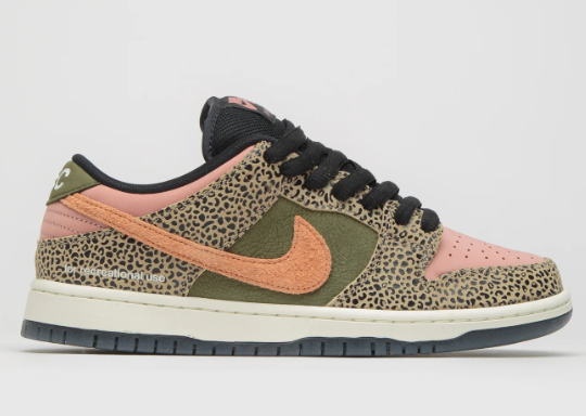 Nike SB x Arts-Rec Dunk Low Pro | Pigment Playground